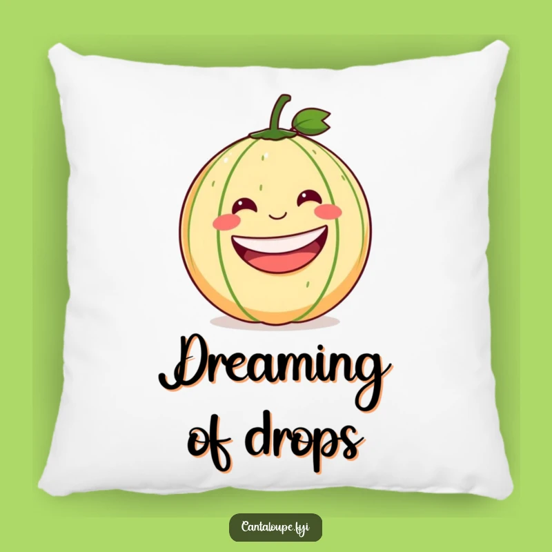 Funny Rolling Cantaloupe Pillow: Cozy Comfort with a Hilarious Twist Gift