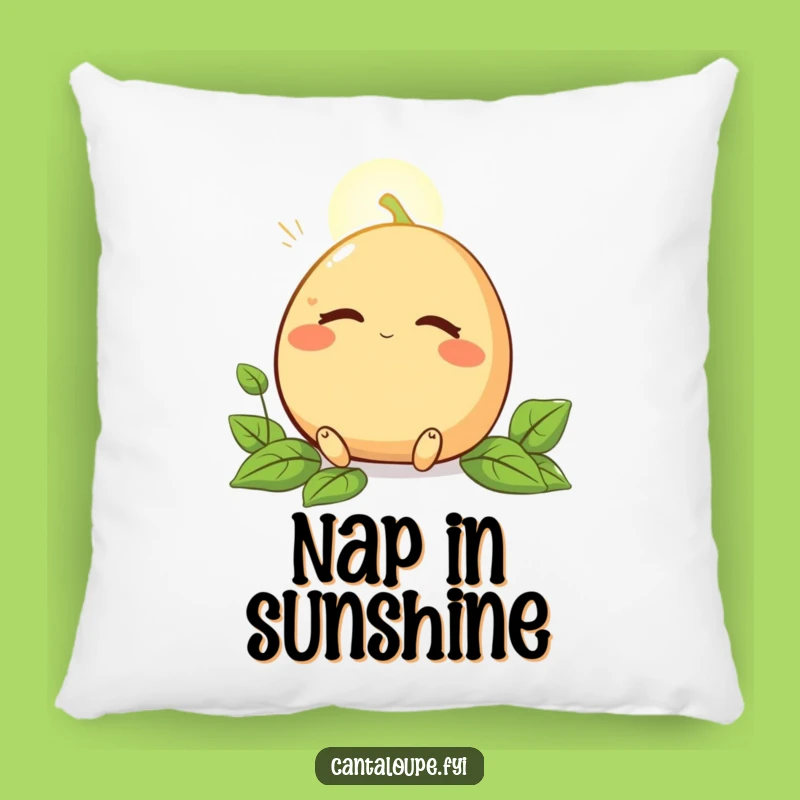 Funny Cantaloupe Pillow: Cozy Sunbeam Bliss for a Relaxing Funny Gift