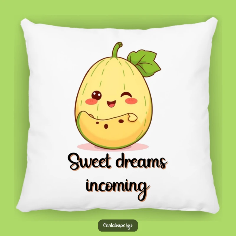 Funny Sweet Slice Pillow: Cantaloupe Character Cushion, Cozy Gift