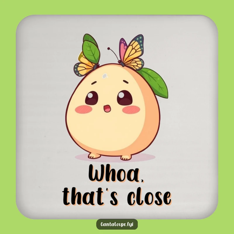 Funny Cantaloupe Coaster: Protect Surfaces with Butterfly Surprise and Funny Gift